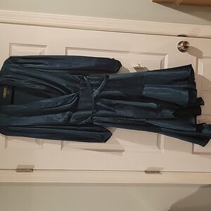 Melonie T Elegant Hunter Green Dress